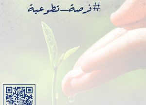 المدونة المصغرة